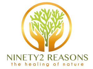 Ninety2 Reasons/Ray of Essence