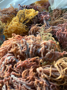Wildcrafted Full Spectrum Raw Sea Moss